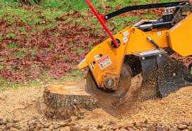 Reliable Mendota, CA Tree Removal Solutions