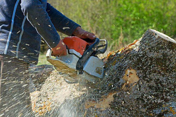 Lawn Irrigation Installation and Maintenance in Mendota, CA